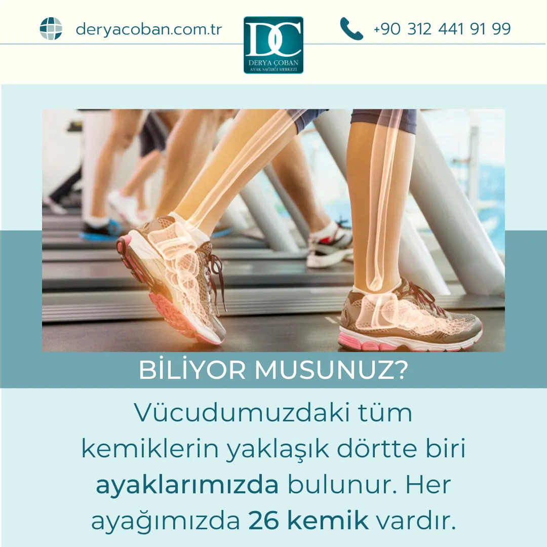Ayağımız Kaç Kemikten Oluşuyor?